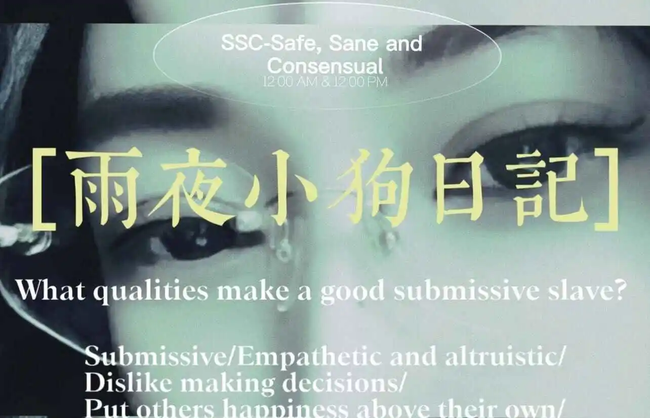 【西檬之家】SM亚文化科普：BDSM新人如何理解核心术语与原则