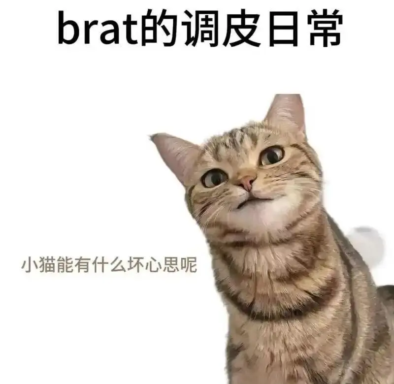【西檬之家】字母圈的Aftercare是什么？新人的必读指南