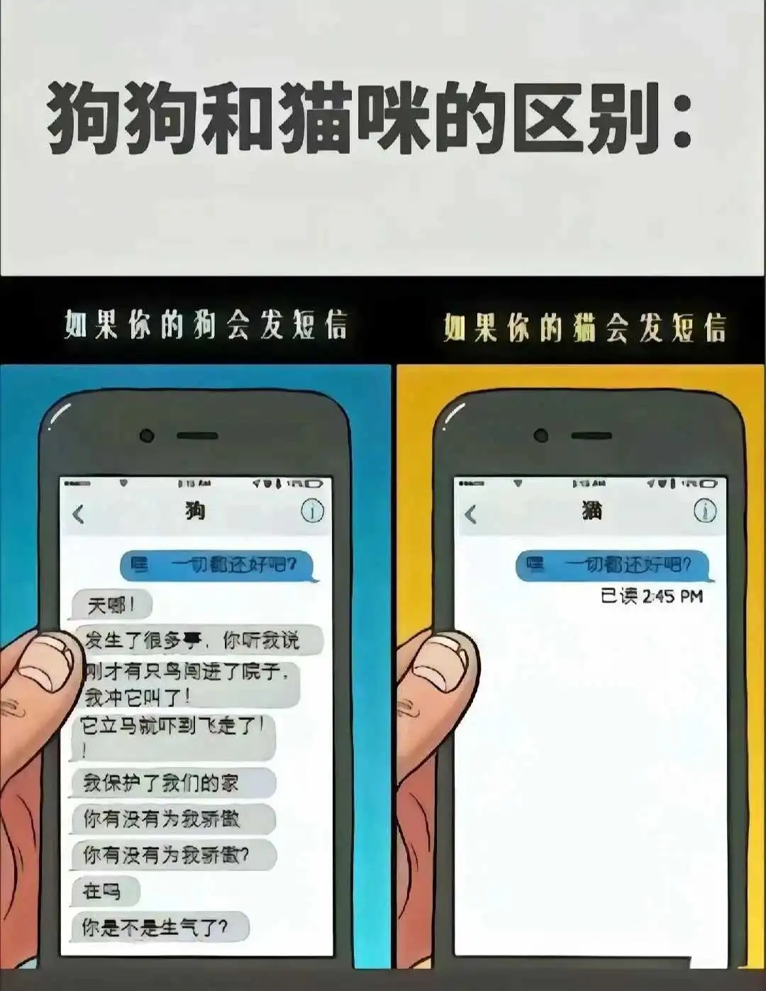 西檬之家-BDSM入圈指南：权威术语解析与实践基础