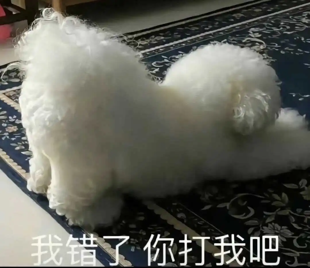 西檬之家-OTK是什么？字母圈新人的权威指南