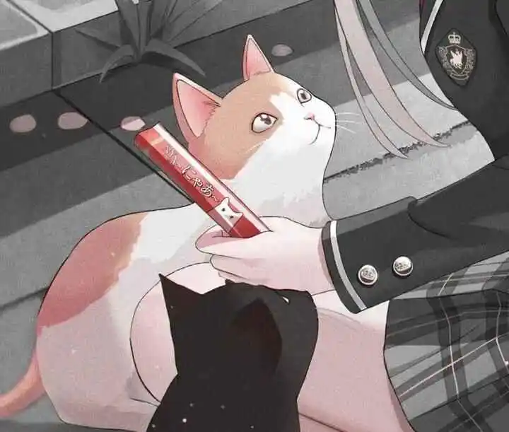 西檬之家-字母圈的K8猫系是什么意思？