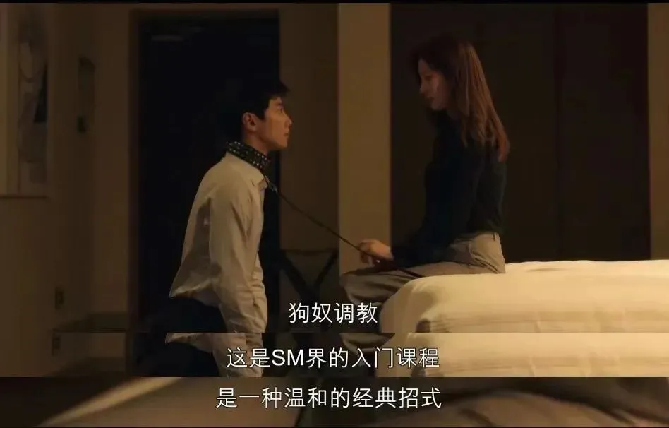 西檬之家-BDSM基础指南-从入门到精通