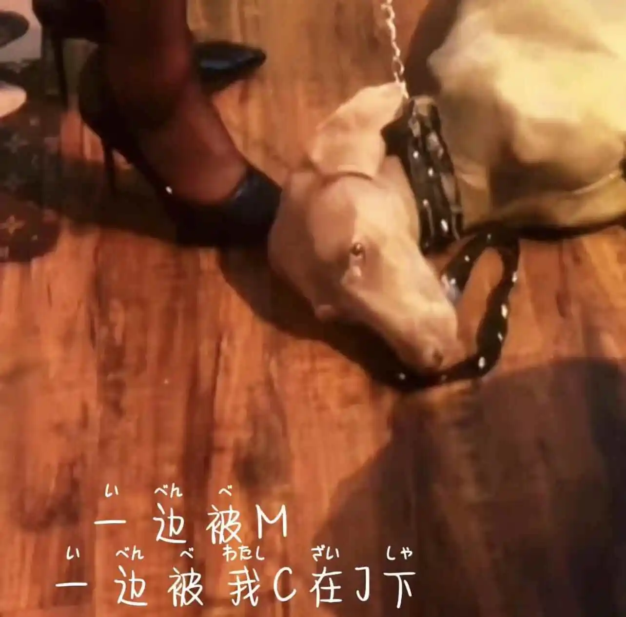 西檬之家-Sub是什么？BDSM字母圈新人权威指南