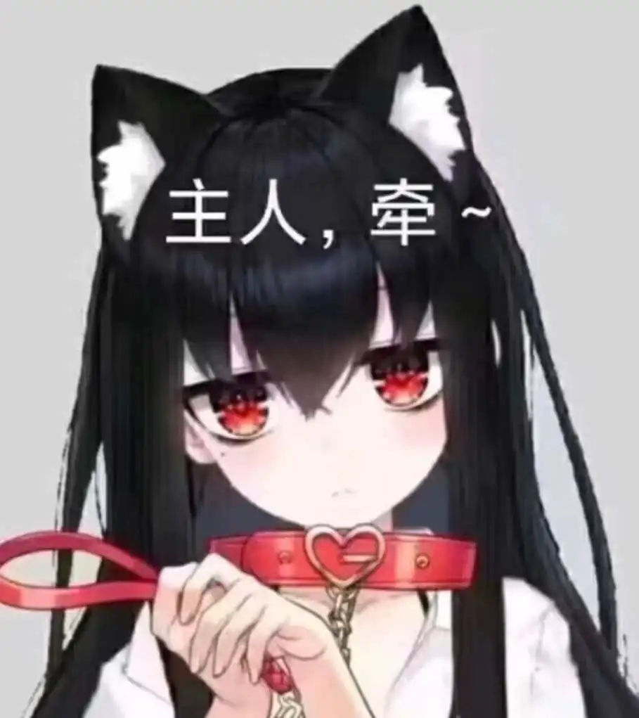 SM亚文化 - 2023_11_10_21_21_IMG_8948